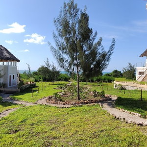 Hotel Amani Villas Nature Retreat cazare Michamvi