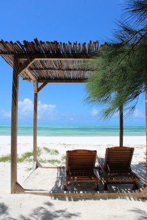 Hotel Kivuli Beach Resort Paje cazare Paje