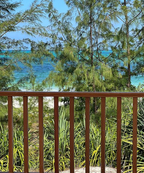 Kivuli Beach Resort Paje