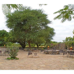 Hotel Kia Lodge cazare Kilimanjaro