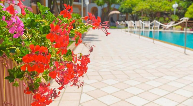 Hotel Ischia Dream Sunset