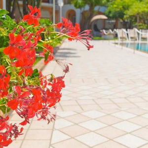 Sejur Ischia Dream Sunset vacanta Forio