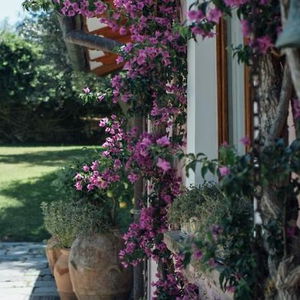 Hotel Capo Santa Fortunata cazare Sorrento