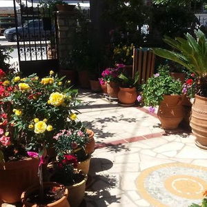 Hotel Eleni Studios cazare Agios Nikolaos