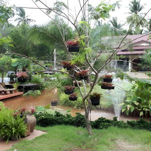 Hotel Ruean Thai Nai Bang By Pansak Resort cazare Surat Thani