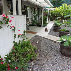 Hotel Mango Sunset Bed And Breakfast Inn At Lyman Kona Coffee Farm cazare Kailua-Kona
