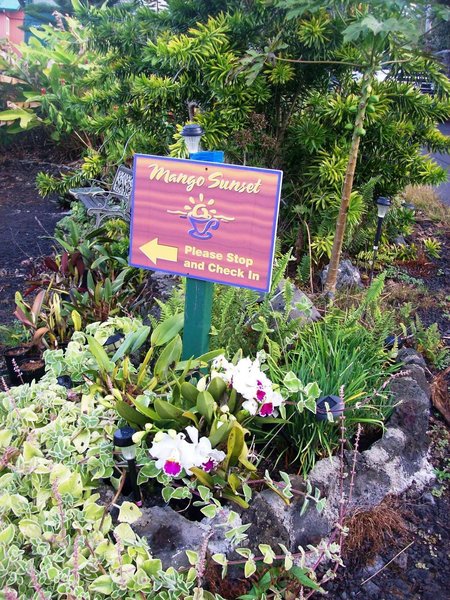 Mango Sunset Bed And Breakfast Inn At Lyman Kona Coffee Farm