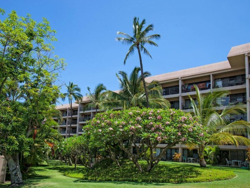 Kihei Akahi