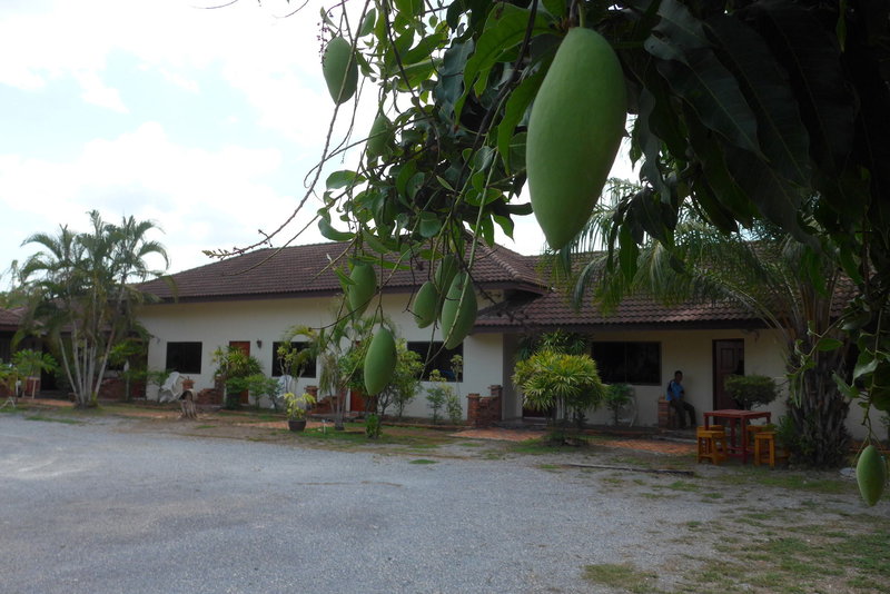 Forum House