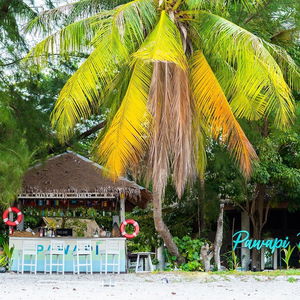 Hotel Pawapi Beach Resort Koh Mook cazare Trang