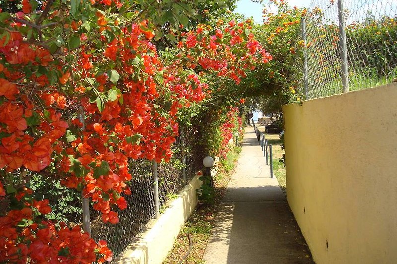 Akti Barbati Studio