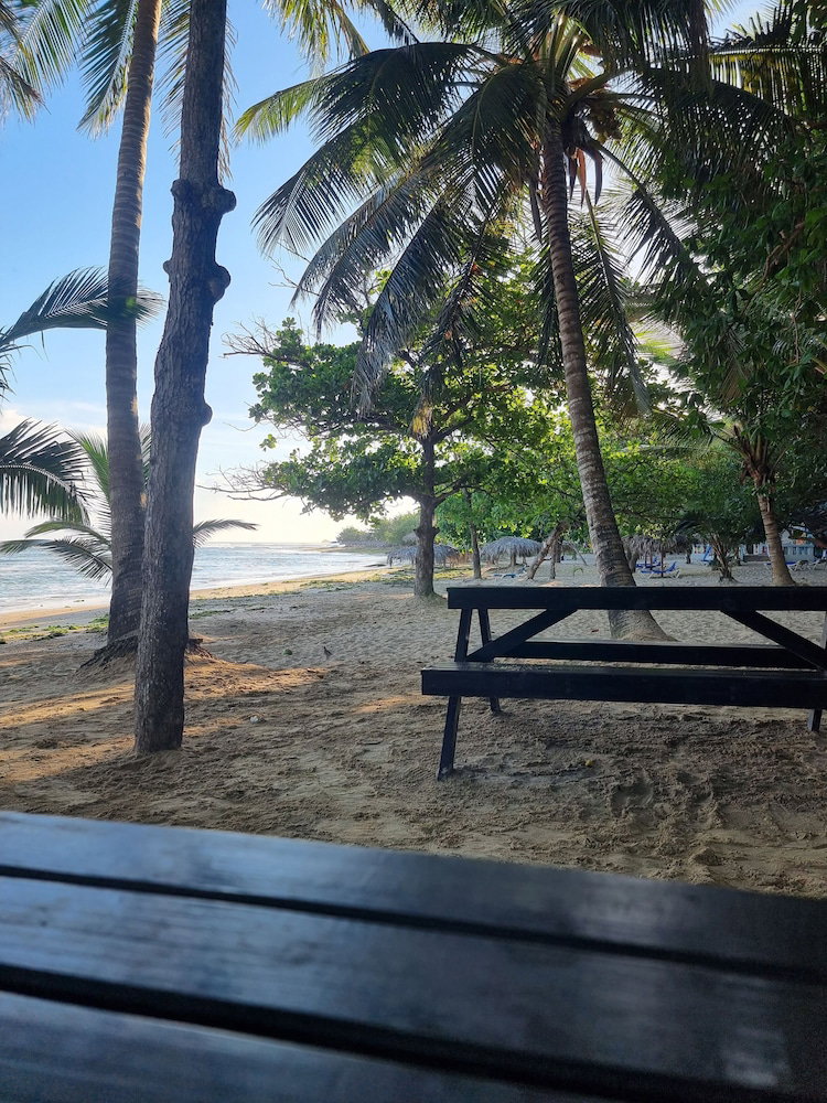 Hotel Costambar Beachfront Pool Apartment