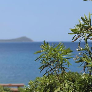 Sejur Villa Diamanti vacanta Peloponnese