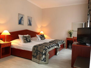 Hotel Hotel Carlton cazare Praga