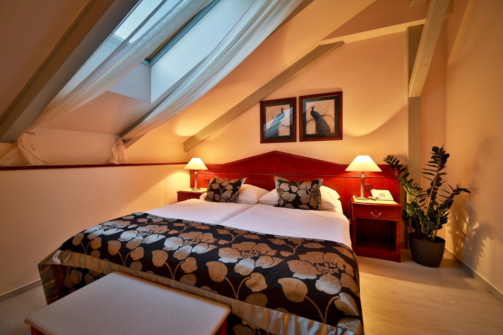 Hotel Carlton