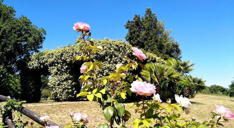 Hotel Locanda Rosati