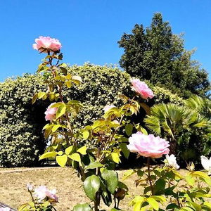 Hotel Locanda Rosati cazare Orvieto