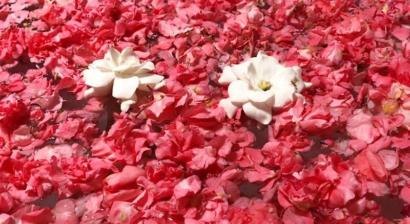 Hotel Puri Kasih Gottlieb