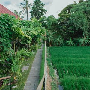 Hotel Pangkung Sari Bed And Breakfast cazare Canggu