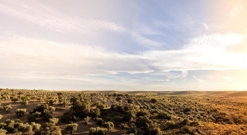 Hotel Casa Rural Cigarral Del Pintor