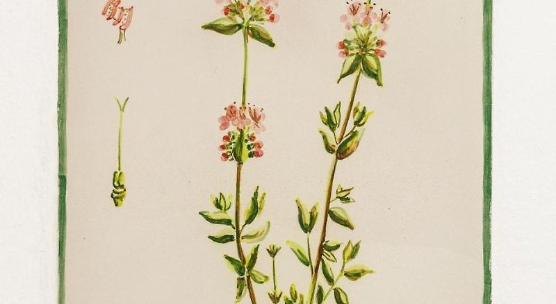 Hotel Arte De Cozina