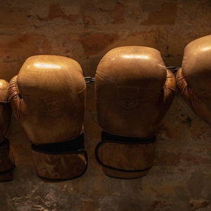 Sejur Bryggen Guldsmeden vacanta Copenhagen