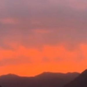 Hotel Savic Apartments cazare Kotor