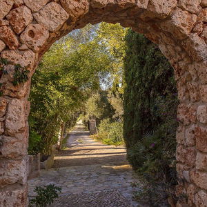 Hotel Finca Son Foguero cazare Maria de la Salut