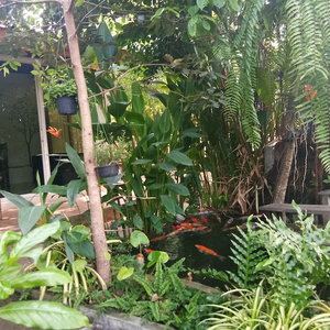Hotel Q Zone Boutique cazare Phra Nakhon Si Ayutthaya
