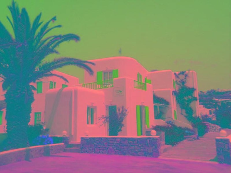 Hotel Cyclades Studios