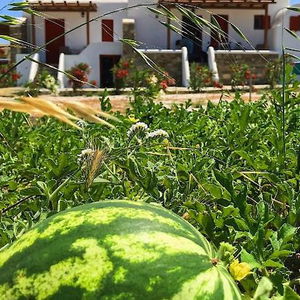 Sejur Myconian Brothers vacanta Ano Mera