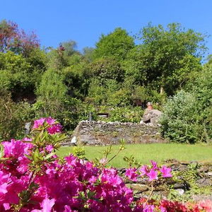 Hotel Clyde View Bed & Breakfast cazare Dunoon