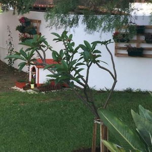 Hotel Paradise Suites cazare Carcavelos