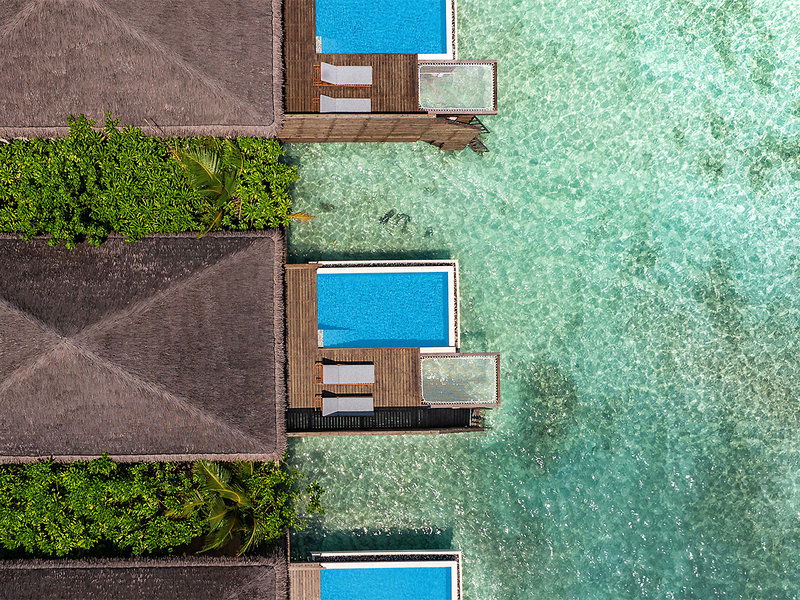 Hotel Dusitd2 Feydhoo Maldives