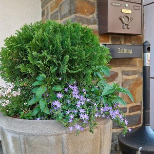 Hotel Haus Mooren cazare Duesseldorf