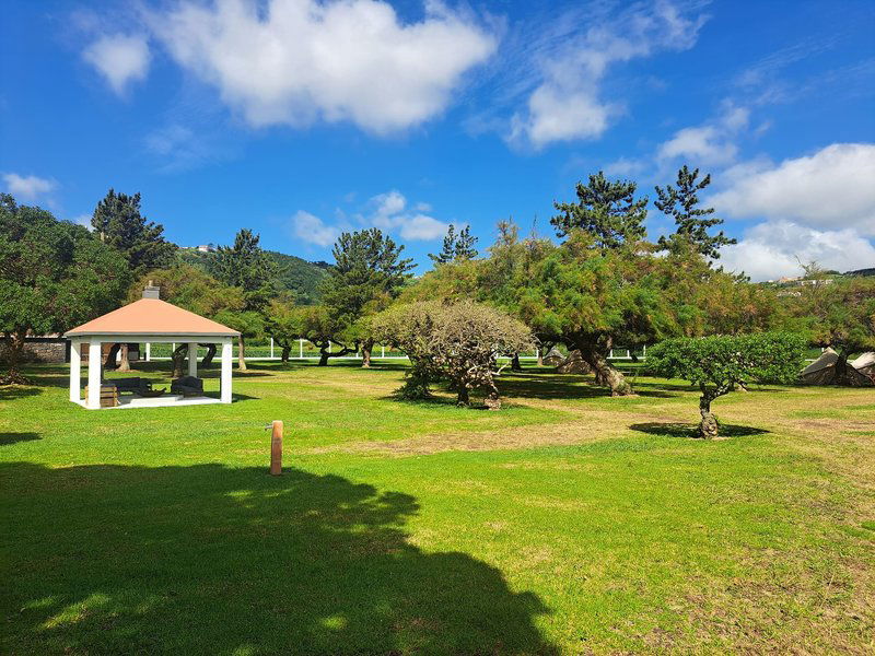 Hotel Bearsu Nature Almoxarife