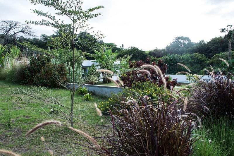 Nativ Lodge & Spa