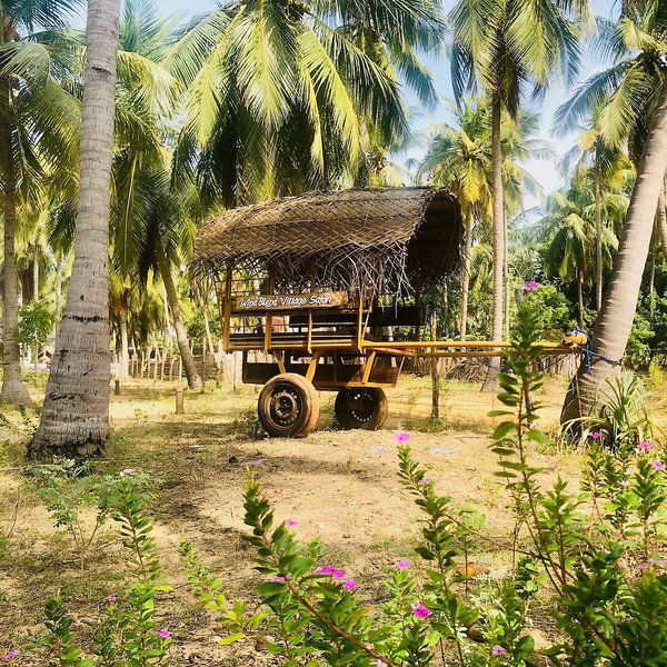 Hotel Wind Blend Kite Resort