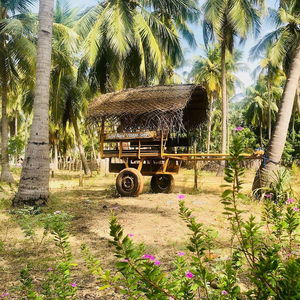 Hotel Wind Blend Kite Resort cazare Sri Lanka