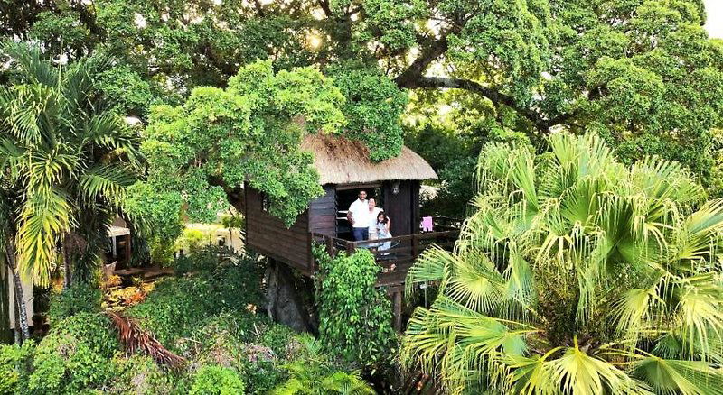 Hotel Tree Lodge Mauritius