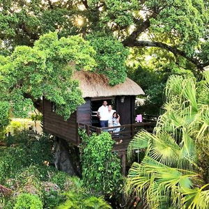 Hotel Tree Lodge Mauritius cazare Belle Mare
