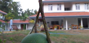 Hotel Anuhas Airport Villas cazare Sri Lanka