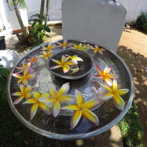 Hotel Colombo Residency cazare Colombo