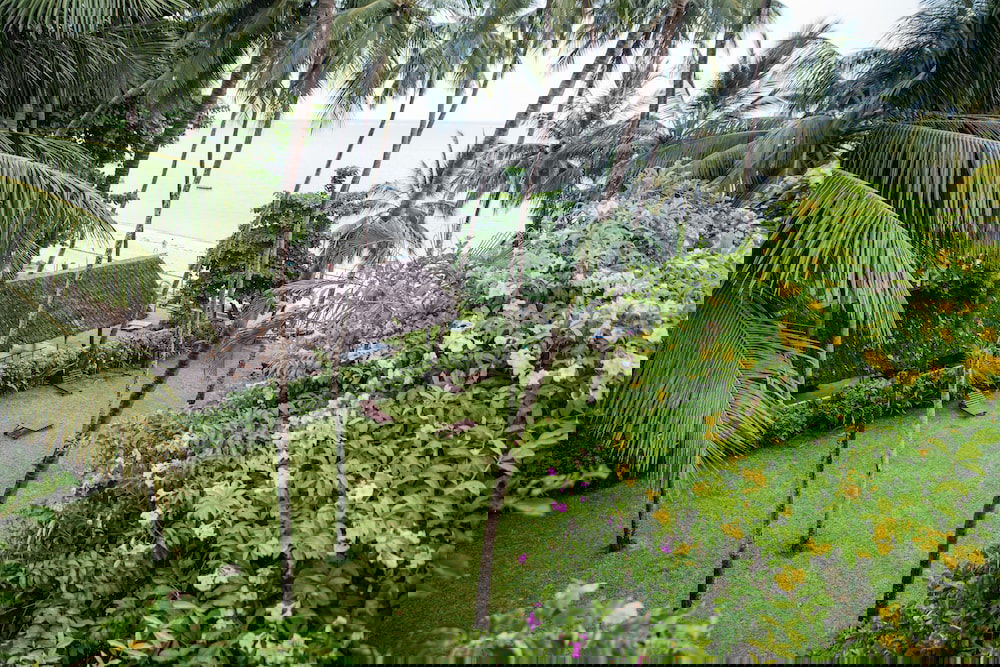 Hotel Plaza Beach Hotel