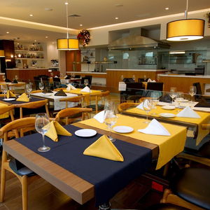 Hotel Radisson Poliforum Plaza Hotel Leon cazare Leon de los Aldama