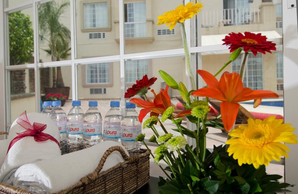 Hotel Hotel Suites Mexico Plaza Campestre
