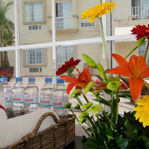 Hotel Hotel Suites Mexico Plaza Campestre cazare Leon de los Aldama