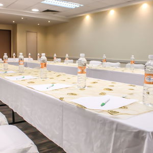 Hotel Holiday Inn Leon-Convention Center cazare Leon de los Aldama