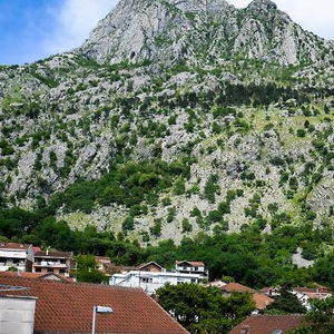 Hotel Hotel Tianis cazare Kotor