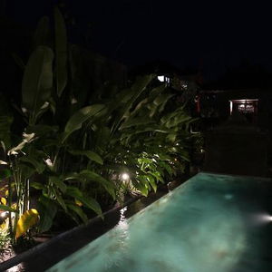 Sejur Pondok Buda Merta vacanta Ubud